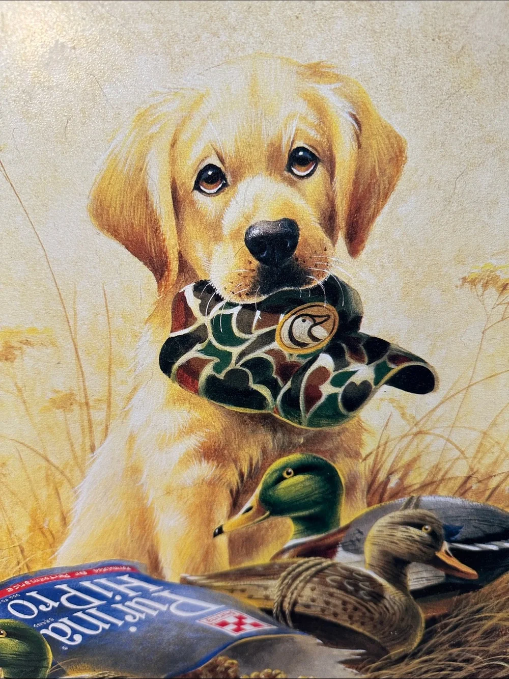 Labrador puppy and Ducks Metal Sign artwork by L.R. KAATZ Vintage